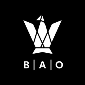BAO agency logo